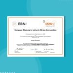 WhatsApp Image 2025-03-16 at 3.37.12 AM